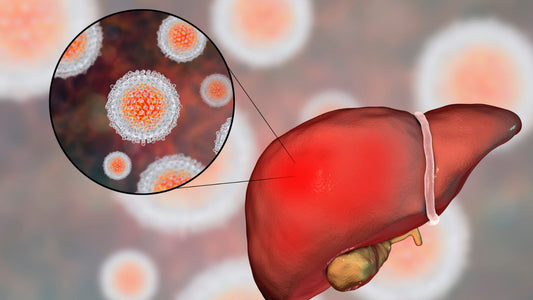 Acute Hepatitis: A Temporary Threat to Your Liver's Health